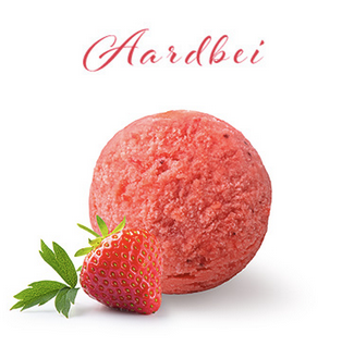 [AARC2] PAGOTINI SORBET AARDBEI 2.5L <*_*>