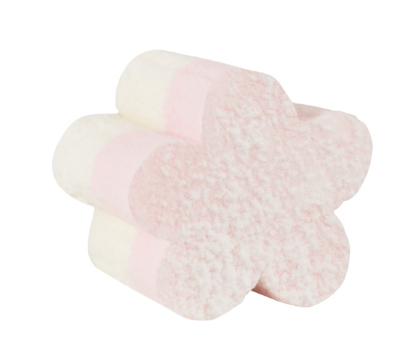 [PSABLOEMD1.5] PIEROT FLEUR LARD D'ANVERS 1,5 KG 