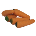 COCO WORTEL 2KG