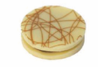 [MDD8007] DELICE TREFONDS WIT SPECULOOS 160 ST