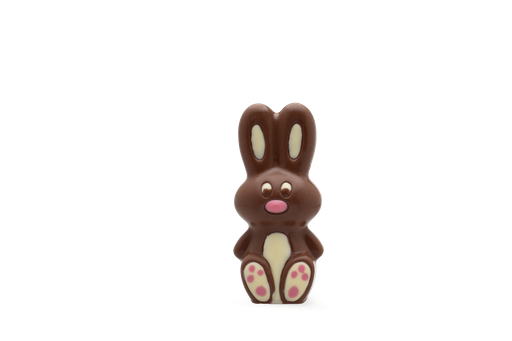 [2120105] DE CHOCOLATERIE BABY BUNNY 15 CM - 5 X 110 GR