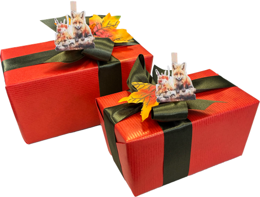 [DC082HER] DELICE BALLOTIN PRALINES 500 GR  HERFST DECO 