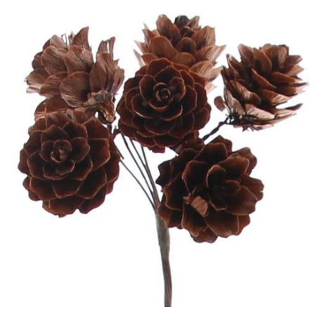 [FRU78169] #VERP - POMMES PINES  6 X 6 PCS