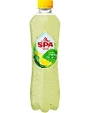 SPA & FRUIT LEMON CACTUS 4 X 6 X 40 CL