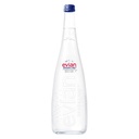 EVIAN SPARKELING PRESTIGE 12X75CL OW (glas)