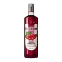 FILLIERS BESSEN JENEVER 70CL