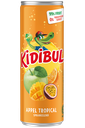 KIDIBUL APPEL/TROPICAL BLIK 24X25CL