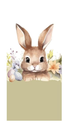 #VERP - BANNER BUNNY HOPPER VERTICAAL 50X122,5 1ST