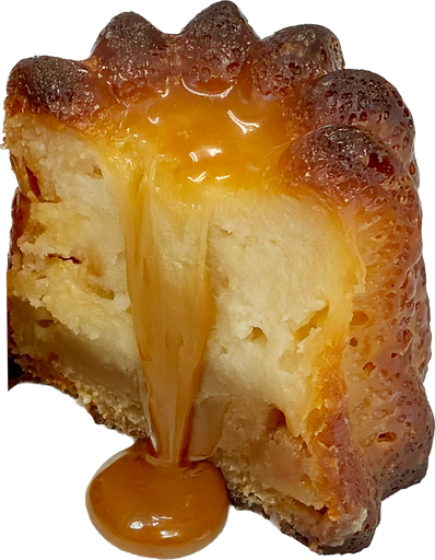 [MDCH062] CDB CANNELES DE BORDEAUX GROOT CARAMEL 40 ST <*_*>