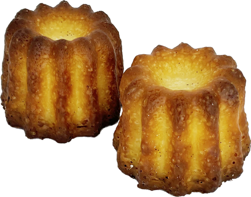 [MDCH062] CDB CANNELES DE BORDEAUX GROOT CARAMEL 40 ST <*_*>