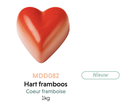 DELICE HART WIT FRAMBOOSVULLING 1 KG