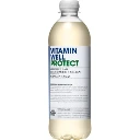 VITAMIN WELL PROTECT (MANGO & ANANAS) 12 X 500 ML