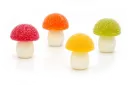 DE HOOP PADDENSTOEL PATE DE FRUIT / FONDANTSUIKER 2,5 KG