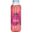 SPA ACTIVE BLUEBERRY & BLACKCURRANT 6 X 50 CL