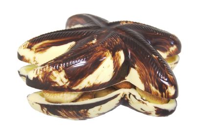 [18602] ZEESTER OPGEVULD 10X300GR