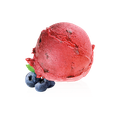 IJSBOERKE 2X2,5L ZWARTE BES SORBET <*_*>