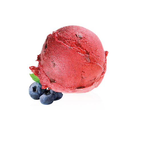 [22315] IJSBOERKE 2X2,5L ZWARTE BES SORBET <*_*>